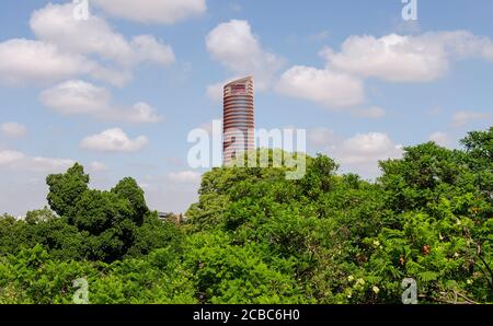 The Sevilla Tower known until 2015 as the Pelli Tower, the tallest building of the city.  Green jacaranda mimosifolia on the foreground Stock Photo
