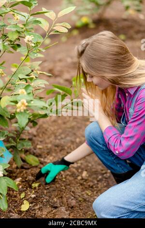 garderning activity. young woman is concentrataed on working with soil. close up side view photo Stock Photo