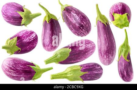 Isolated purple eggplants. Collection of 10 fresh aubergines isolated on white background Stock Photo