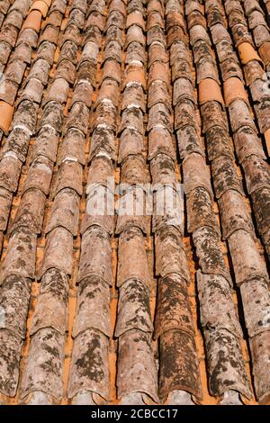 The texture of the old brown shingles on the roof of the building. Stock Photo