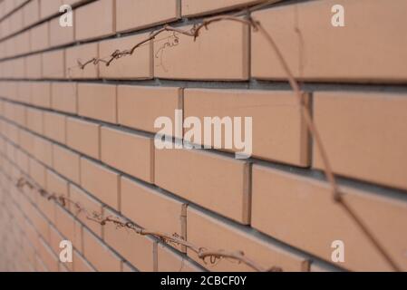 Brown brick wall with wire. Texture for designers. Photo taken at an angle Stock Photo