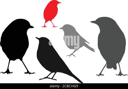 Cute little birds. Vector images. White background. Stock Vector