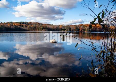 The rippled water of the lake reflects the blue sky and white clouds and the autumn forest is visible in the distance during a sunny bright day