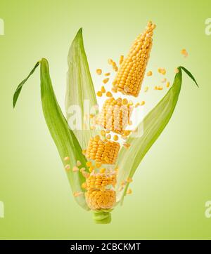 Broken corn cob with flying grains and leaves on green background. Design element for product label, catalog print. Stock Photo