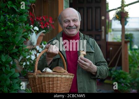 Old man gathers mushrooms showing a cep from basket. Stock Photo