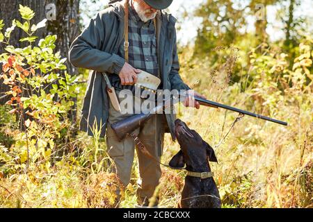 Black helper labrador with his owner hunter man in forest. Male loading shotgun Stock Photo