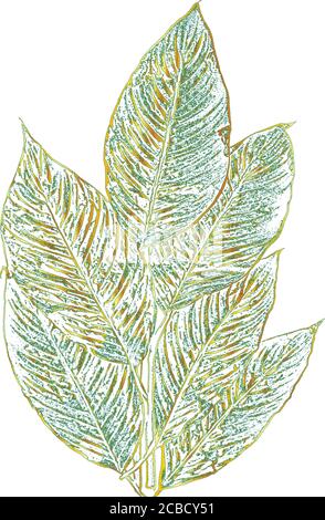 Distress tree leaves, leaflet texture. Green and white grunge background. Golden line. EPS 8 vector. Stock Vector