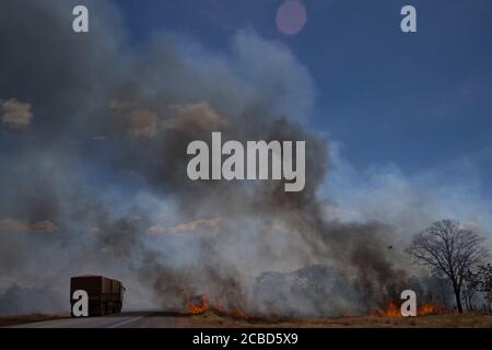 Altamira, Brazil. 12th Aug, 2020. Fire near of the BR-163 highway, in the city of Altamira, in the state of Par'', a close to Springs of Serra do Cachimbo Biological Reserve, in the Amazon Forest, this Wednesday morning, on August 12th. In July, the federal government issued a decree banning burning throughout Brazil for 120 days. The veto comes amid pressure from domestic and international investors due to the country negative image abroad caused by environmental management and increased deforestation. Credit: Fernando Souza/ZUMA Wire/Alamy Live News Stock Photo