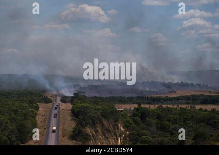 Altamira, Brazil. 12th Aug, 2020. Fire near of the BR-163 highway, in the city of Altamira, in the state of Par'', a close to Springs of Serra do Cachimbo Biological Reserve, in the Amazon Forest, this Wednesday morning, on August 12th. In July, the federal government issued a decree banning burning throughout Brazil for 120 days. The veto comes amid pressure from domestic and international investors due to the country negative image abroad caused by environmental management and increased deforestation. Credit: Fernando Souza/ZUMA Wire/Alamy Live News Stock Photo