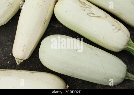 Light green fresh zucchini stacked in a bunch, shot from above Stock Photo