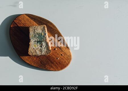 Mold on bread, a piece of rye bread with white and green mold on a wooden cutting board. Best before date has expired. Stock Photo