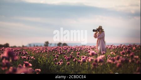 Beautiful blond-hair woman in hat takes photos in the Lilac Poppy Flowers field Stock Photo