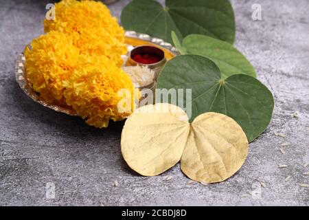 Dussehra or Vijaya dashami greeting card. Green leaf golden, colord leaf Rie and kumkum Stock Photo