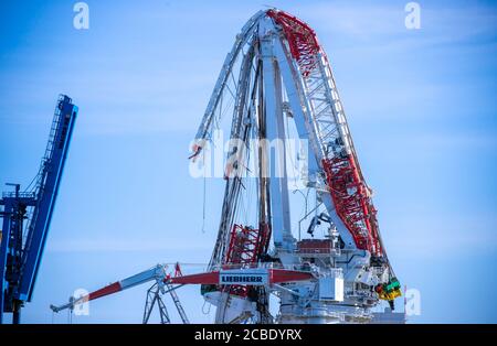 12 August 2020, Mecklenburg-Western Pomerania, Rostock: On the special ship 'Orion' in the port of Rostock stands the ship crane of crane manufacturer Liebherr, which was damaged during a load test. Final recovery of the HLC 295000 crane is expected at the end of the year. According to the current state of investigations, authorities and experts are unanimous in assuming a broken crane hook as the cause of the accident. The company stated that the damage was in the high double-digit millions. The test carried out on 02.05.2020 was the last in a series of tests and was designed for a load of 5, Stock Photo