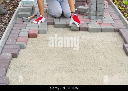 worker laying paving stones. stone pavement, construction worker laying cobblestone rocks on sand. Stock Photo