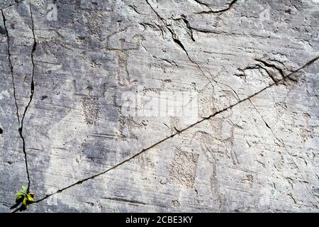 Petroglyphs representing 'god Cernunnos' on left and hunting scenes, Naquane, Valcamonica, Brescia province, Lombardy, Italy Stock Photo