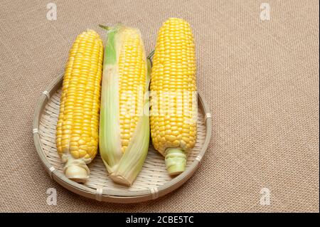 Raw corn cobs in a woven bamboo basket. Isolated on jute background. Copy space. Horizontal shot. Stock Photo