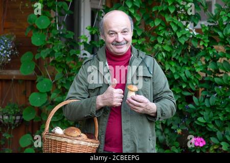 Old man gathers mushrooms showing a cep from basket. Stock Photo