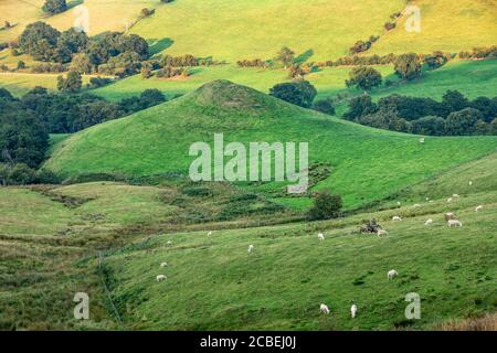 Robins Tump, a Bronze Age burial mound below Caer Caradoc Hill in the Shropshire Hills near Church Stretton Stock Photo