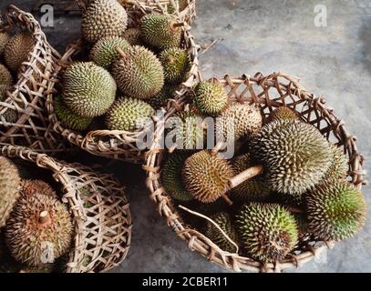 Durian fruits, Durio zibethinus on sale at the roadside, Malaysia Stock Photo