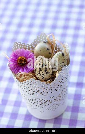 Vertical shot of quail eggs and a purple flower on a white and purple patterned background Stock Photo