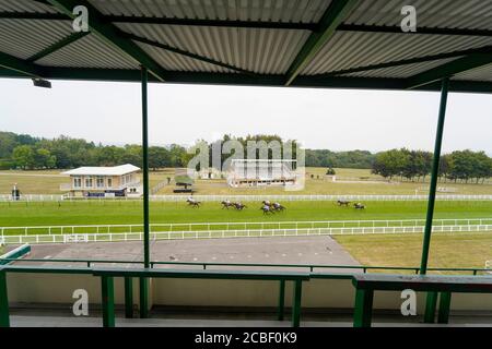 Oisin Murphy riding Sidereal (left) wins The Federation Of Bloodstock Agents Novice Stakes at Salisbury Racecourse, Wiltshire. Stock Photo