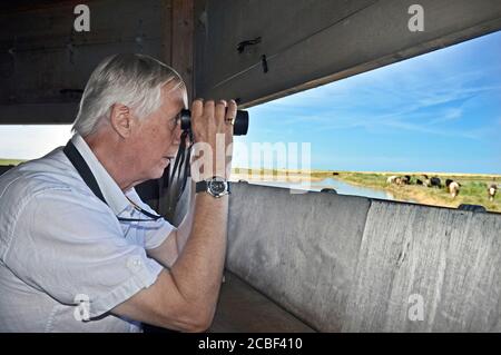 older man in  wildlife hide watching birds through binoculars Stock Photo