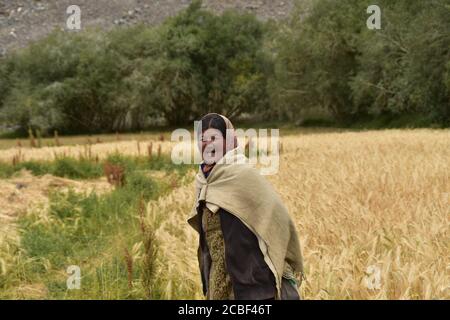 O dear Himalaya, Why are you so amazing. Can I kiss your peak or can I just let your silence speak ! A farmer with her broadest smile Stock Photo