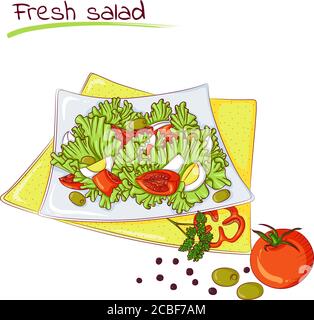 Vector illustration of fresh salad isolated on white background. Food Icon. Design for cookbook, restaurant business. Series of food, drinks and ingredients for cooking. Stock Vector