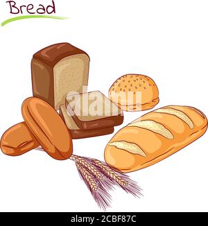 Vector illustration of various breads isolated on white background. Food Icon. Design for cookbook, restaurant business. Series of food, drinks and ingredients for cooking. Stock Vector