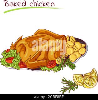 Vector illustration of baked chicken with potatoes isolated on white background. Food Icon. Design for cookbook, restaurant business. Series of food, drinks and ingredients for cooking. Stock Vector