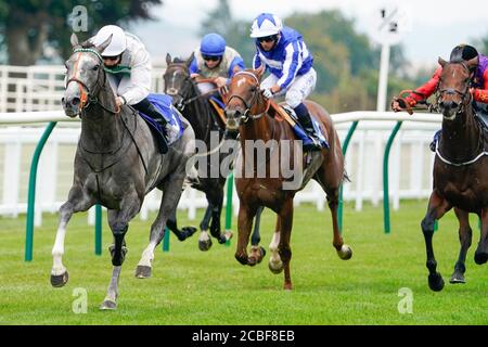Ryan Tate riding Alpinista (left) wins The British Stallion Studs EBF Upavon Fillies' Stakes at Salisbury Racecourse on August 13, 2020 in Salisbury, England. Owners are allowed to attend if they have a runner at the meeting otherwise racing remains behind closed doors to the public due to the Coronavirus pandemic. (Photo by Alan Crowhurst/Getty Images) at Salisbury Racecourse, Wiltshire. Stock Photo