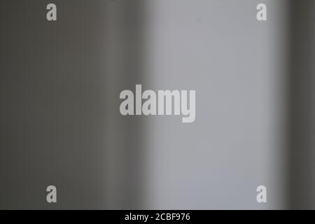 Gray white abstract background,backdrop Stock Photo