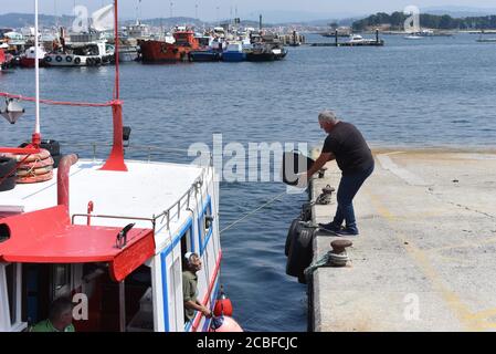 Fishermen are seen working in O Grove port.O Grove is a fishing village which is situated on the mouth of the Arousa estuary, Galicia's region. Its populations lives mainly of shellfish gathering and shallow-water fishing, farming of mussels, oysters and scallops on wooden platforms out in the water. Tourism is another major source of income for the area. Stock Photo