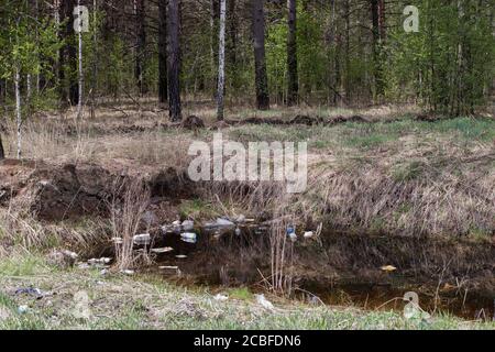Pollution of nature. Garbage and plastic bottles float on the water of the reservoir inside the Siberian forest. Stock Photo
