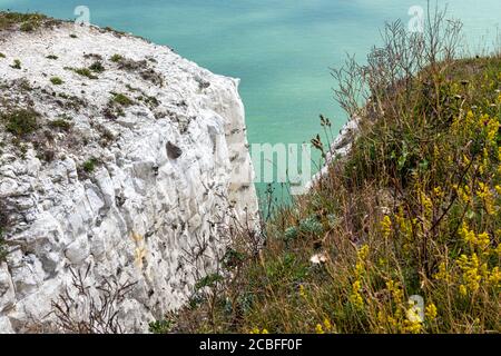 The White Cliffs of Dover and the English Channel in Kent, England Stock Photo