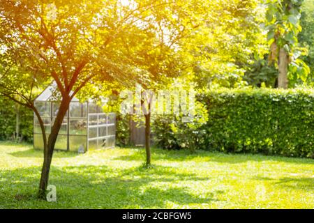 blur lawn garden backyard green park tree outdoor for nature background Stock Photo