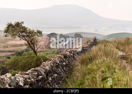 On a hot, hazy Summer day, 'The Staycation Express' (or more officially The Settle and Carlisle Tourist Train) is seen on the spectacular Settle-Carlisle railway heading south from Blea Moor tunnel towards Skipton. Ingleborough peak, in the Yorkshire Dales National Park, is seen in the background. The special has a diesel locomotive at each end to facilitate travel in either direction between Skipton and Appleby.  The train service runs from Skipton to Appleby during the Summer and is Britain's first ever dedicated timetabled tourist rail service. Credit: John Bentley/Alamy Live News Stock Photo