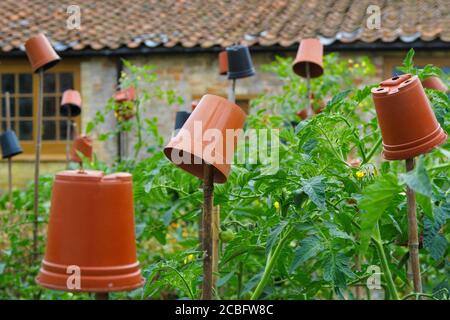 Garden cane topper hi-res stock photography and images - Alamy