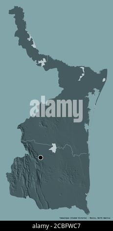 Shape of Tamaulipas, state of Mexico, with its capital isolated on a solid color background. Colored elevation map. 3D rendering Stock Photo