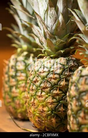 Close up of three whole fresh pineapples (Ananas comosus) standing upright uncut, isolated on kitchen table. Tropical fruit indoors. Stock Photo