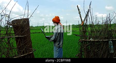 DISTRICT KATNI, INDIA - AUGUST 14, 2019: An indian village male farmer operating laptop around agriculture green field. Stock Photo
