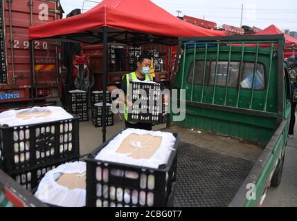 Beijing, China. 6th Aug, 2020. A staff member transfers agricultural products in a temporary trading area at the Xinfadi wholesale market in Beijing, capital of China, Aug. 6, 2020. Credit: Zhang Chenlin/Xinhua/Alamy Live News Stock Photo