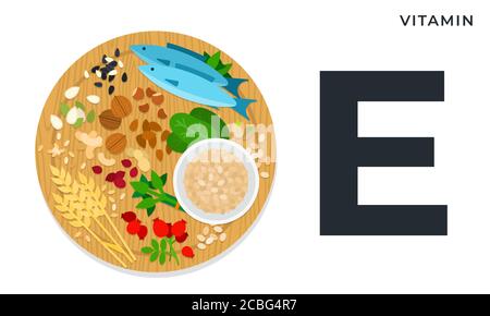 The nutritional components Vitamin E vector illustrations in flat style