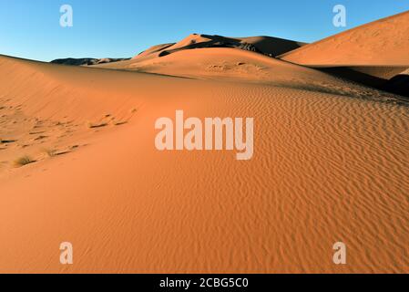 SAND DUNES IN TIN MERZOUGA TADRART REGION. SAHARA DESERT IN ALGERIA. Stock Photo