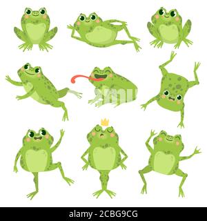 Cute frogs. Green funny frogs in various poses, happy animals group. Smiling active toads, zoo carnivore cartoon vector characters Stock Vector