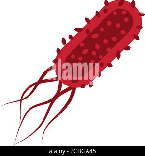 bacteria of salmonella icon over white background, line ...