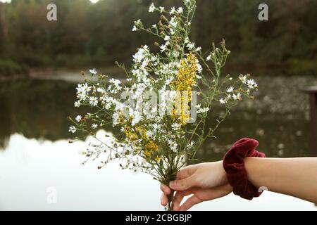 Young girl with small bouquet of wild flowers in Virginia, USA Stock Photo