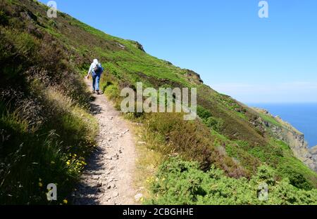 A lone walker climbs the narrow rocky coast path with a steep drop to the sea on the path between Woody Bay and Heddon's Mouth on the North Devon coas Stock Photo