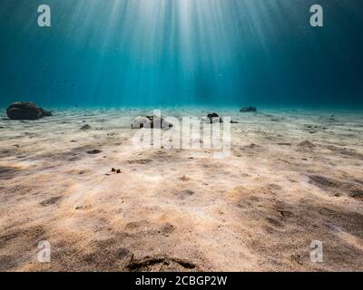 Seascape in shallow water of coral reef in Caribbean Sea / Curacao with view to surface and sunbeams Stock Photo